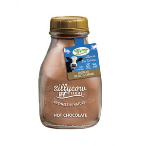 Chocolate Caramel & Sea Salt Hot Cocoa Mix 16.9 oz Bottle