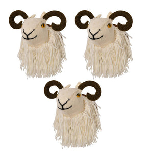 Wool Felt Trophy mount:  H/LAND SHEEP